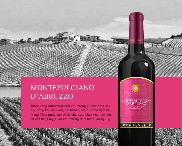 Cantina Monteverdi Montepulciano d'Abruzzo